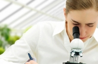 طريقة مبتكرة لإنتاج خزف مغناطيسي للاستخدامات الطبية