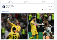 فيفا تشيد بالنشامى: في العلالي يا الأردن