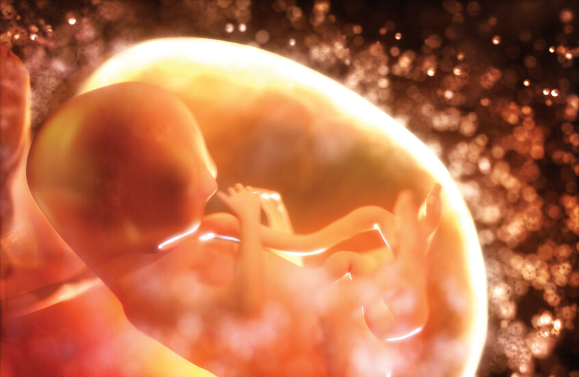 اكتشاف حوار سري بين الجنين والرحم يحدد مصير الحمل