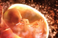 اكتشاف حوار سري بين الجنين والرحم يحدد مصير الحمل