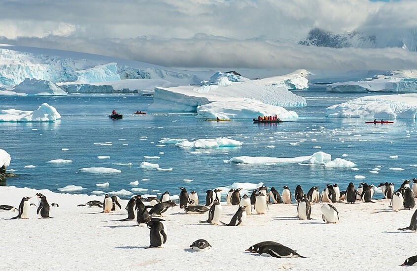 كرة الموت في أعماق الجليد.. علماء يكتشفون كائنات بحرية غير مسبوقة