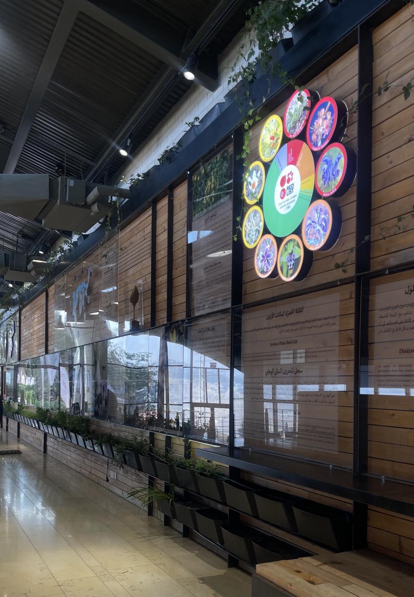 طلبة الصيدلة في عمان العربية يكتشفون كنوز الأعشاب الطبية في زيارة علمية للحديقة النباتية الملكية