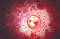 إنجاز علمي غير مسبوق.. إنشاء بطانة رحم حية في المختبر تكشف أسرار المرحلة الأكثر غموضا في الحمل