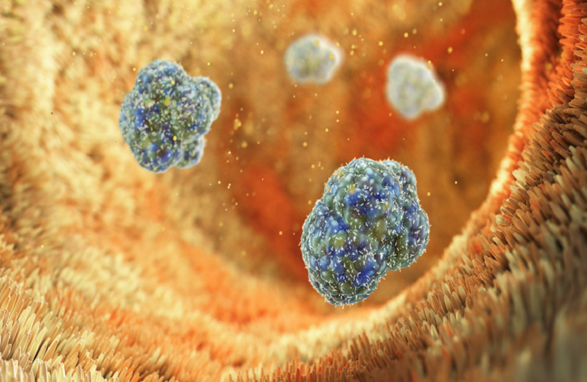 اكتشاف جديد قد يحدث ثورة في الوقاية من السمنة وارتفاع الكوليسترول