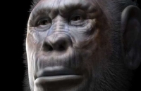 اكتشافات أثرية تعيد النظر في أول هجرة بشرية خارج إفريقيا