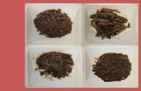 التربة.. العدو الخفي في أزمة المضادات الحيوية