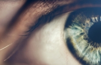 العين مرآة صحة الجسم.. فحوصات النظر تكشف أمراضا خفية قبل ظهور أعراضها