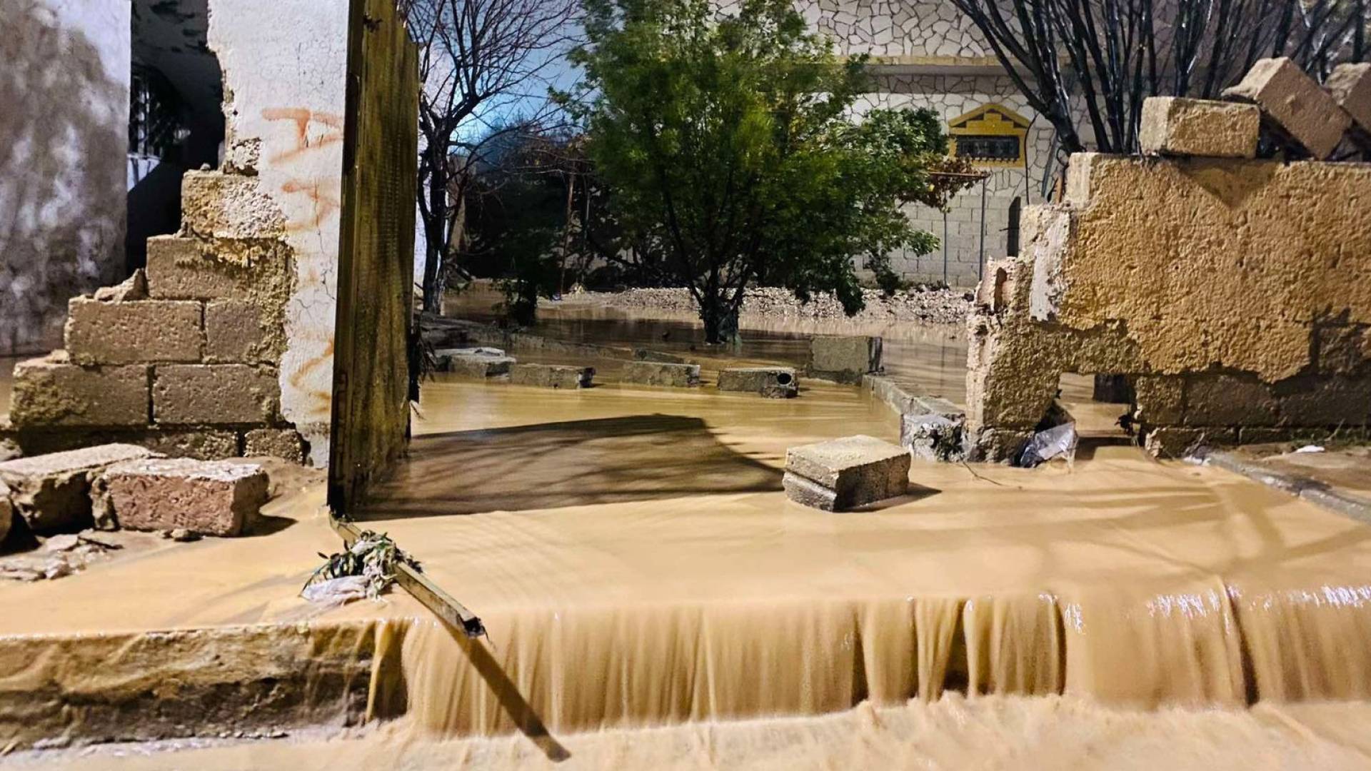 ليست العاصفة… بل الدولة المُنهَكة حين تُفضَح الإدارة بتجارب عربية نجحت #عاجل