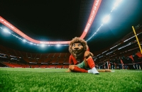 المغرب.. صراع الأسود في الدور ربع النهائي لكأس إفريقيا (فيديو)