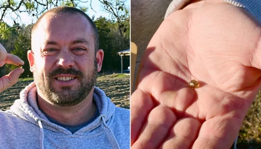 بمساعدة الذكاء الاصطناعي.. طفل يقود عائلته لاكتشاف ماسة نادرة خلال نزهة