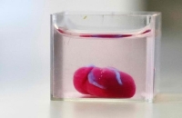 بريطانيا.. إنماء أول معدة مصغرة كاملة في المختبر