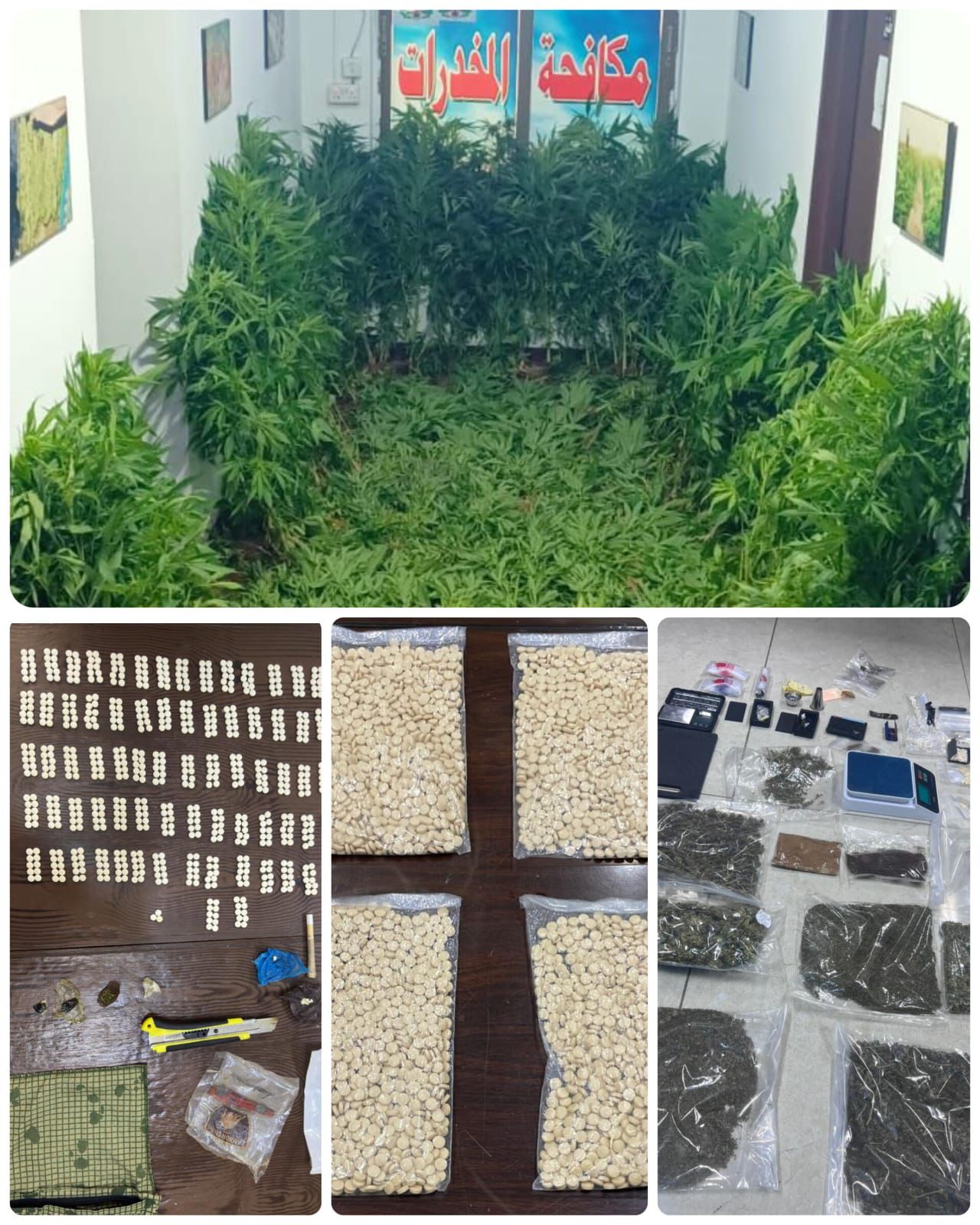 خلال ايام.. الامن يلقي القبض على 35 تاجر ومروج مخدرات في 13 قضية نوعية #عاجل