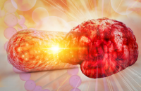 حل طبيعي لمقاومة آثار الأطعمة المصنعة على الصحة