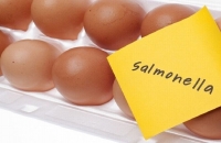 إجراءات الوقاية من عدوى السالمونيلا