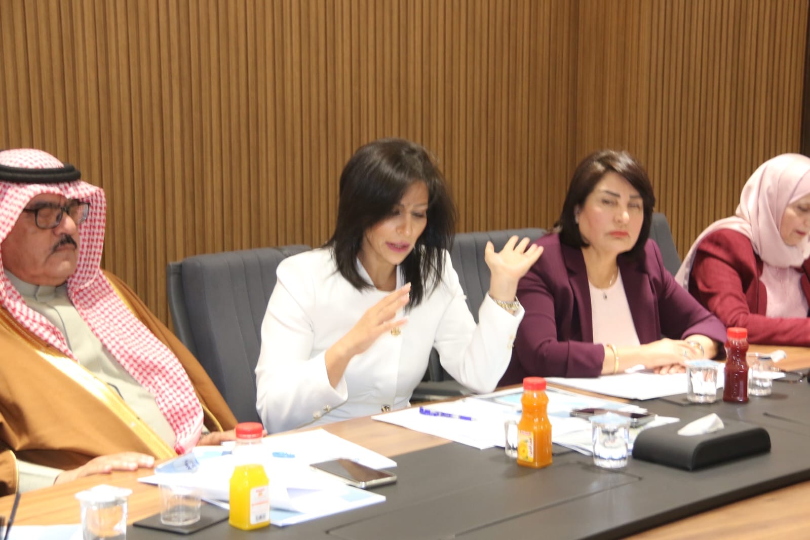 انطلاق الاجتماع التأسيسي للجنة العليا لرؤية إربد عاصمة اقتصادية .