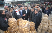 الشواربة يتفقد السوق المركزي للخضار والفواكة