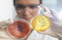 اكتشاف بكتيريا قديمة خارقة مقاومة لكل المضادات الحيوية الشائعة