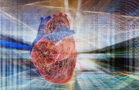قلب اصطناعي على شريحة يفتح آفاقا لمحاربة الأمراض القلبية