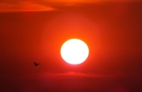 اختفاء مفاجئ للبقع الشمسية!