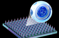 ابتكار سعودي يكشف الحساسية الغذائية قبل ظهور الأعراض