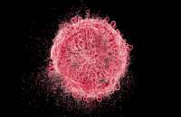 مركبات طبيعية مضادة للشيخوخة قد تسرّع نمو السرطان
