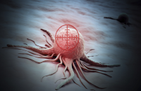 اكتشاف طريقة لفهم نمو السرطان وبقائه