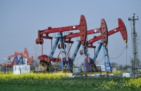 الولايات المتحدة تخصص أول دفعة نفط من الاحتياطي الاستراتيجي لشركات النفط