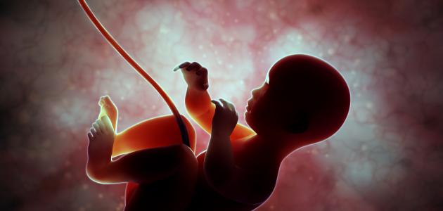 أسباب صغر حجم الجنين: العوامل الطبية وغير الطبية