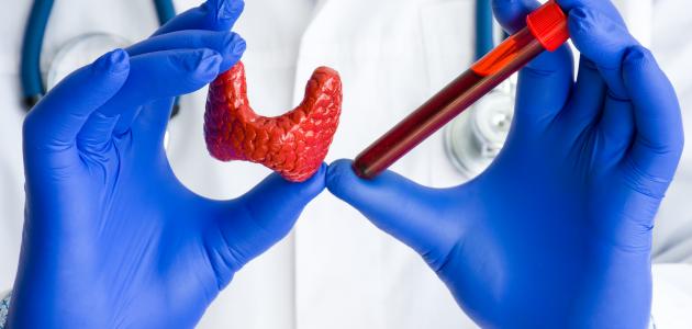 تحليل الغدة الدرقية وأهميته في تقييم وظائف الجسم