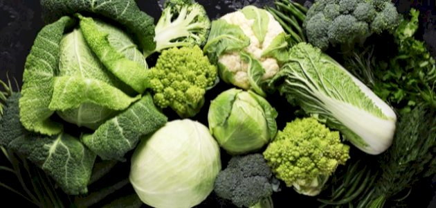 استراتيجيات فعالة لإنقاص الوزن بسرعة