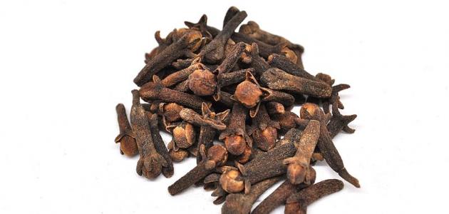 تحليل علمي: أعشاب وأطعمة فعالة في طرد الديدان المعوية - دراسة شاملة