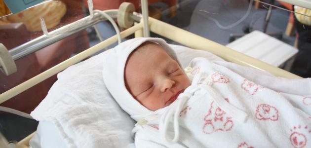 سر وزن مثالي لطفلك: روتين غذائي صحي ومدروس (2026)