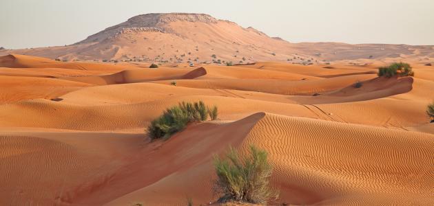 تضاريس شبه الجزيرة العربية: تحليل نقدي لتحديات الحاضر وآفاق المستقبل (2026)
