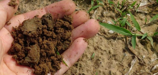 دليل شامل: قياس حموضة التربة وأهميتها وتأثيرها على الزراعة