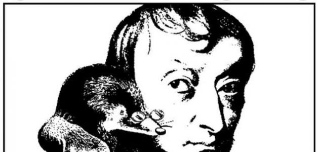 الريتينول المعزز: بشرة متألقة بتقنية 2026