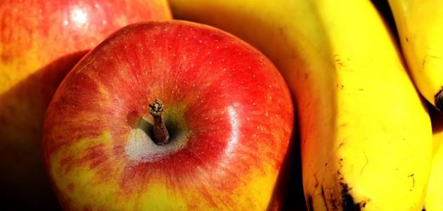 الأطعمة المنقذة: كيف تتغلب على الإسهال بتغذية استراتيجية نحو 2026؟