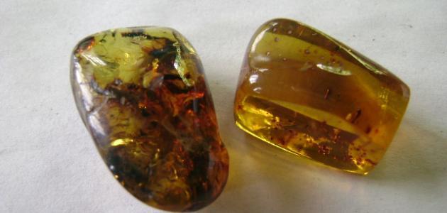 عنبر التسمين 2026: روتينكِ السحري لزيادة الوزن بلمسة طبيعية