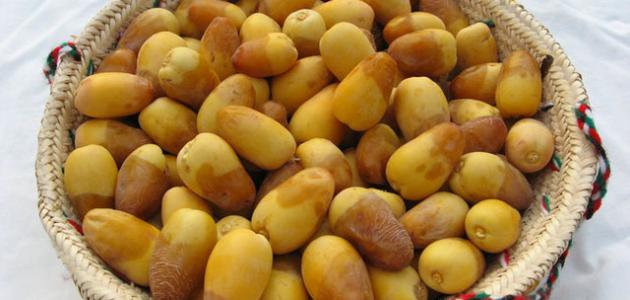 فوائد البلح الصحية وتأثيره الإيجابي على الجسم