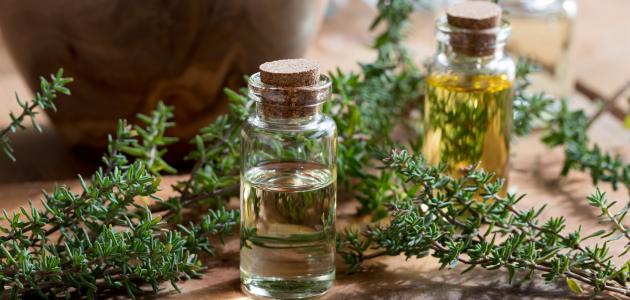 الزعتر البري والدورة الشهرية: حقائق صادمة حول الفوائد والمخاطر المحتملة (تحليل 2026)