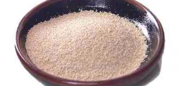 فوائد خميرة الشعير للصحة والجمال