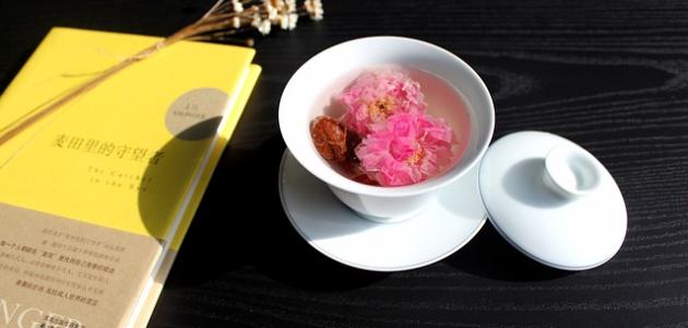 الدليل الشامل لشرب ماء الورد: الفوائد والاستخدامات (تحديث 2026)