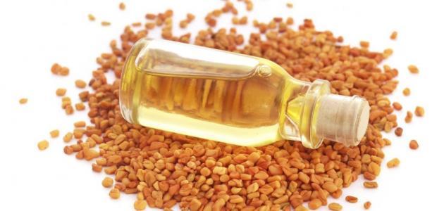 فوائد واستخدامات الحلبة