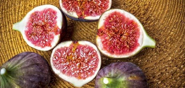 أضرار وفوائد التين: كل ما تحتاج معرفته حول التين
