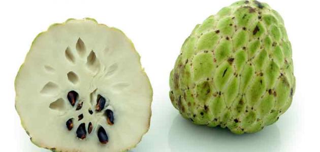 فاكهة القشطة: هل هي حليفك أم عدوك في رحلة الرجيم؟ تحليل شامل حتى 2026 