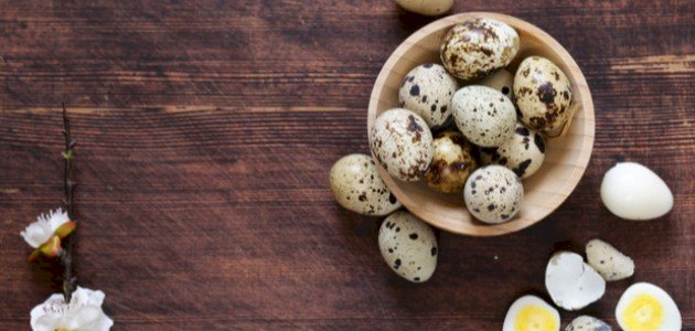 فوائد بيض السمان للأطفال