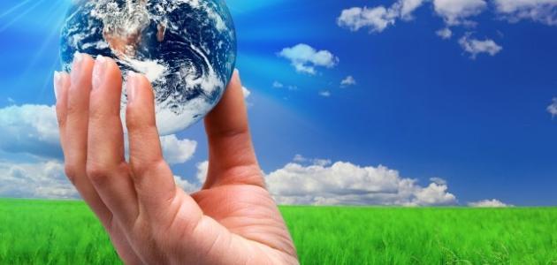 تهيئة العقول: أسرار جذب الانتباه في التعليم الرقمي 2026