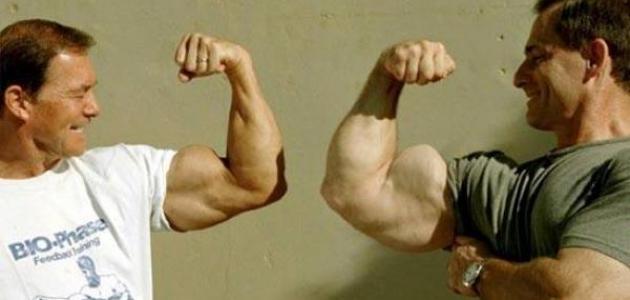 أكبر عضلة في جسم الإنسان: حقائق ووظائف وأهميتها