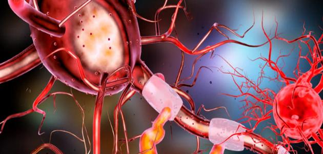 سيروم النيوروببتيد: بشرة مشدودة بلمسة 2026!