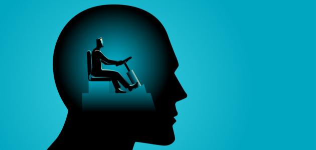 حرية بلا حدود: كيف نحقق التوازن في 2026؟