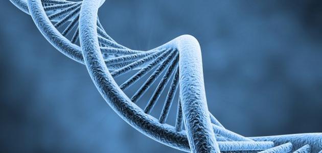 علم الوراثة: تحليل معمق للتاريخ والأنواع والتجارب المحورية